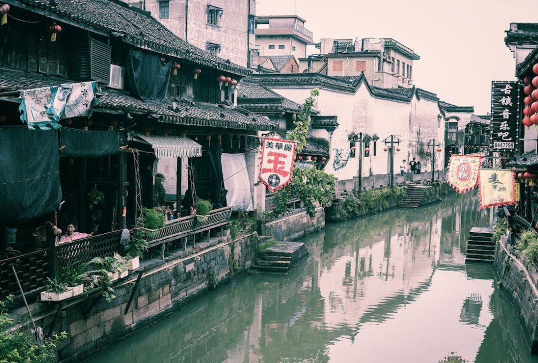 植物大战僵尸10